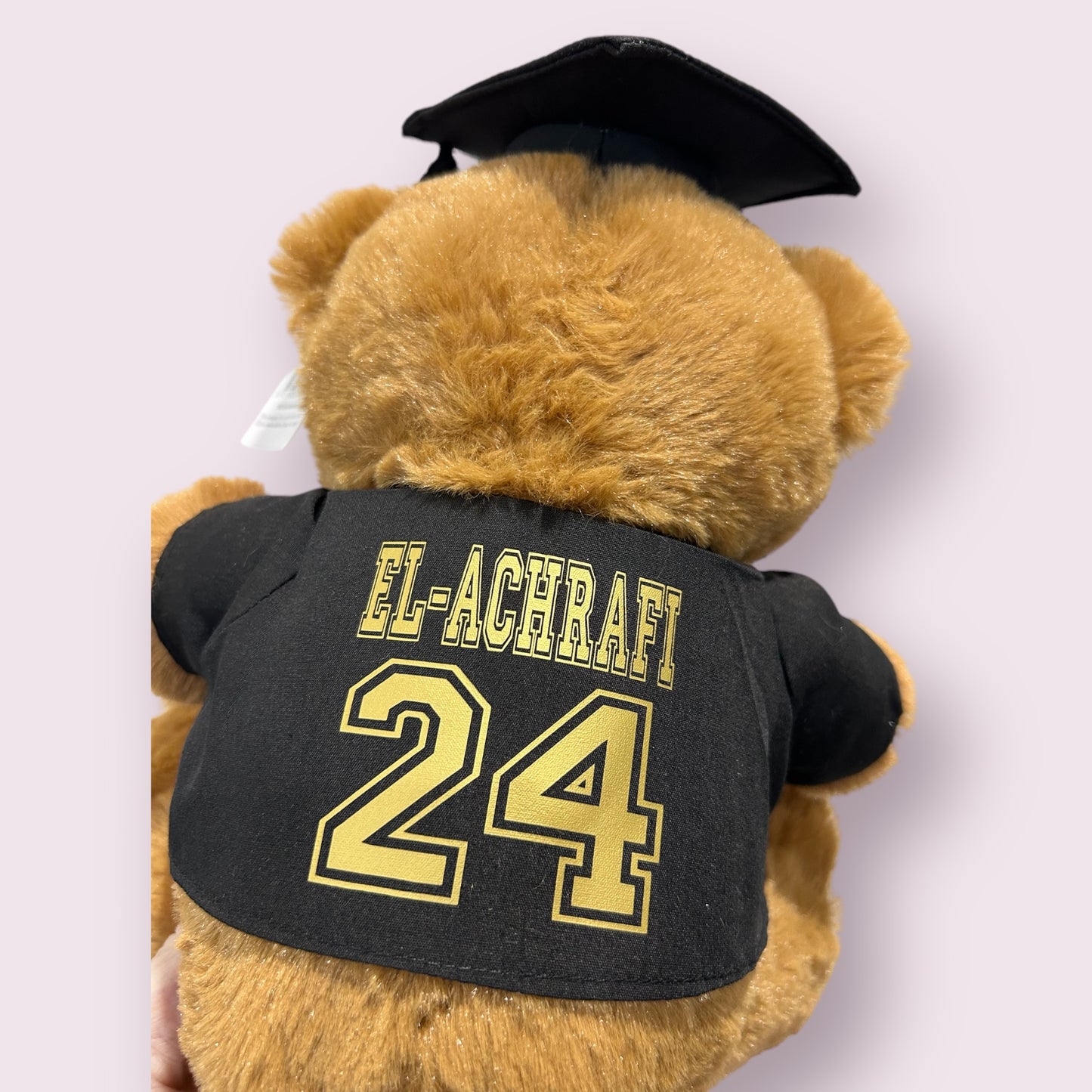 Graduation Bear